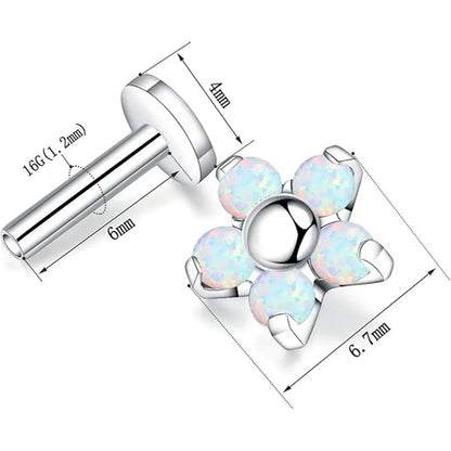 2pcs Cartilage Earring Studs 16G G23 Titanium Helix Flat Back Tragus Internally Thread