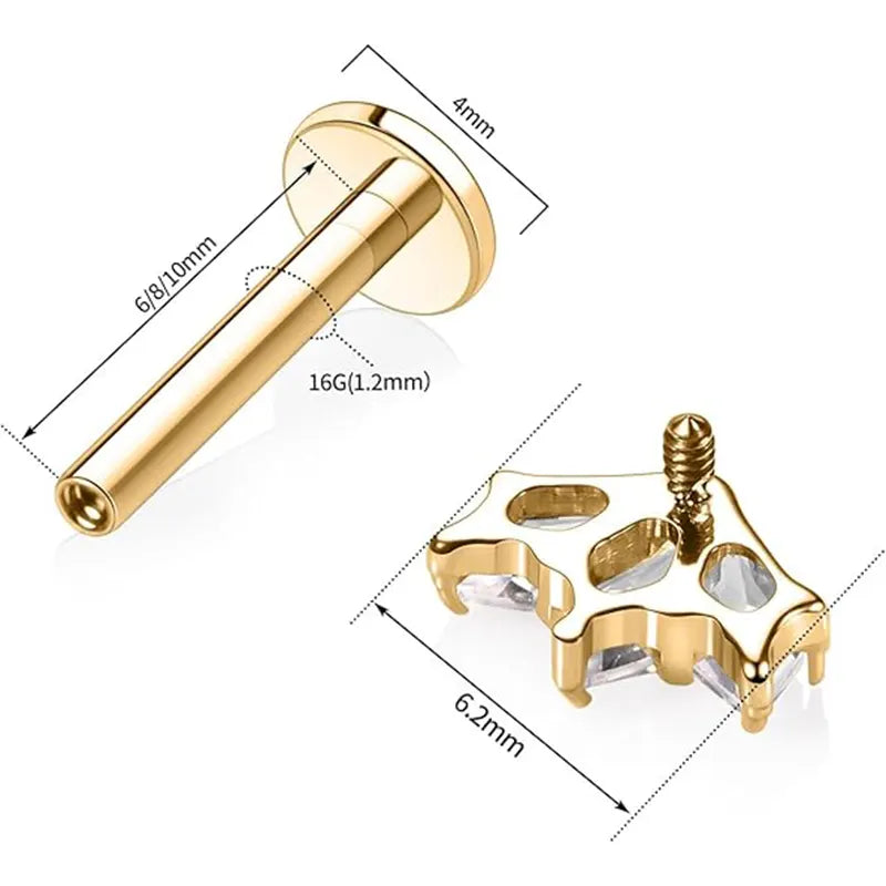 16G G23 Titanium Gold Edge Leaf CZ Internal Thread Lip Ring