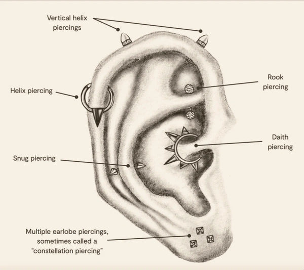 Snug Piercing Placement & Anatomy