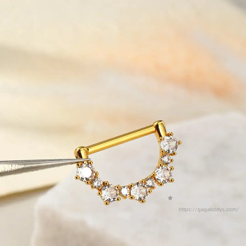 2pcs 14G Cap Nipple Rings in 316 Medical Steel 1