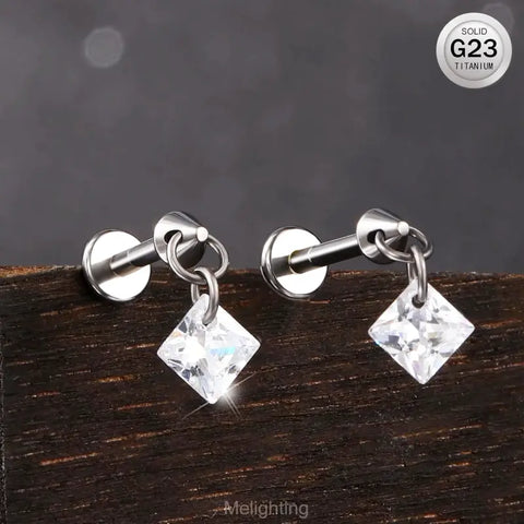 Cute and versatile titanium jewelry earrings