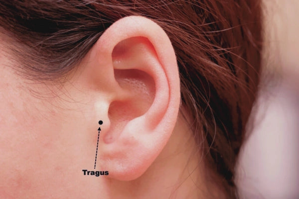 tragus